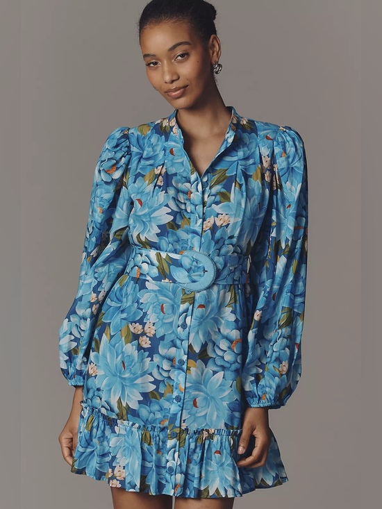 FARM Rio Dresses & Skirts - NWT Farm Rio x Anthropologie Long-Sleeve Mini Swing Dress